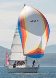lemarac 4040c whyw16 mon 800 2592w